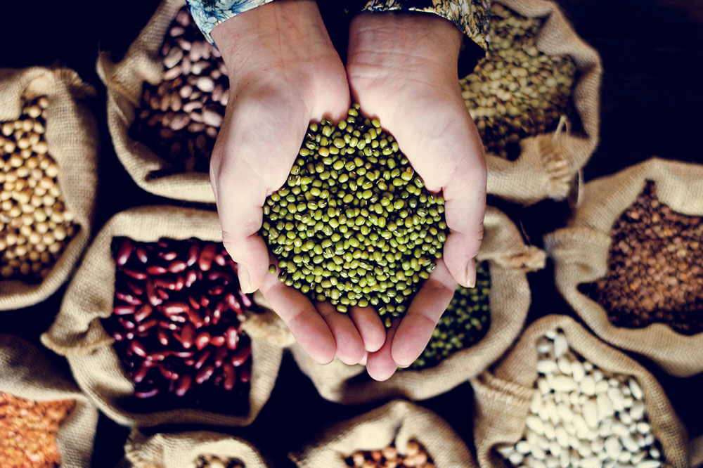 5 Foods to Lower Cholesterol Levels