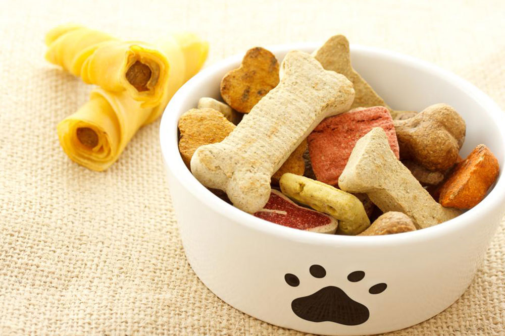 5 Healthy Dog Food Recipes