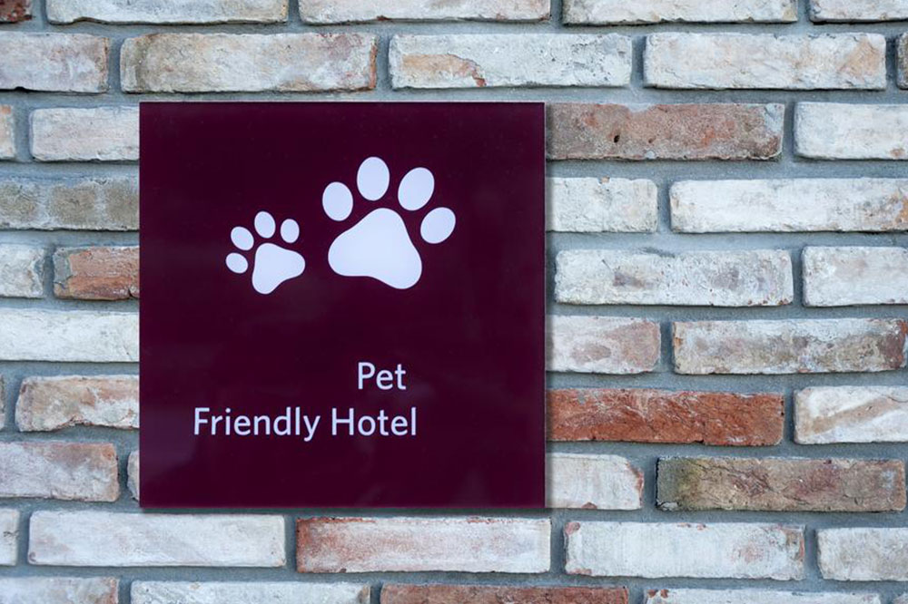 5 Important Pet-friendly Hotel Rules
