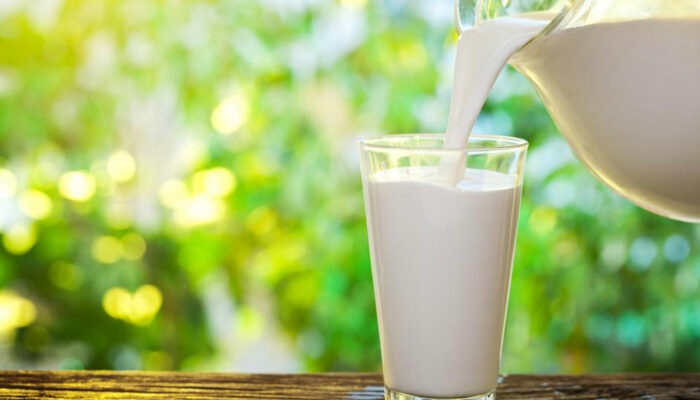 Diet Plans to Manage IBS