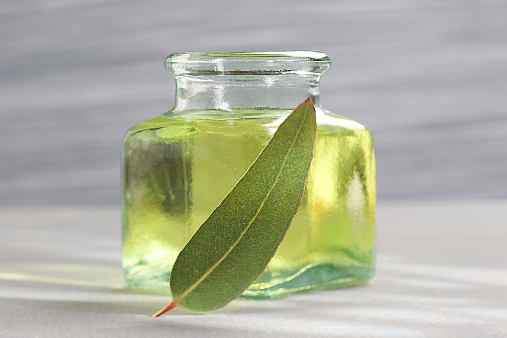 Essential Oils for Pets