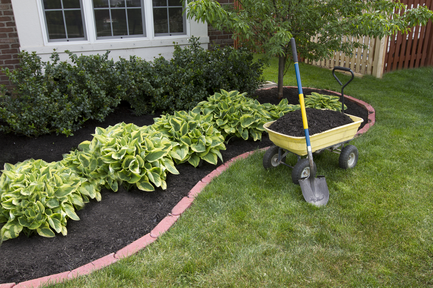 How to Fix the Most Common Lawn Problems